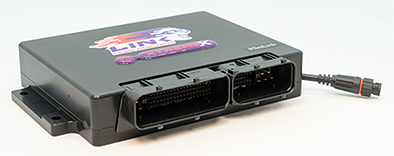 Link ECU BMW Mini Cooper S 2002-2006 Gestion du moteur