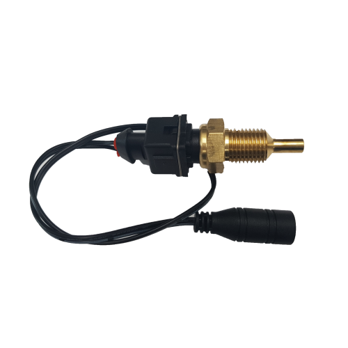 Capteur de température d'eau Davies Craig 1/4" NPT