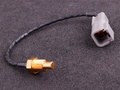 Capteur de température HV 1/8 NPT CLT (eau/huile)