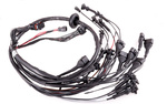 Électronique Chevrolet LS