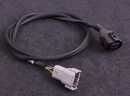Maxxecu WBO Cable 1.5m