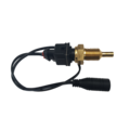 Capteur de température d'eau Davies Craig 1/4" NPT