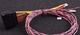 Module PWM Harness Maxxecu