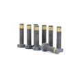 LuK 411 0026 10 - boulons de volant moteur
